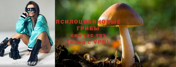 apvp Ельня