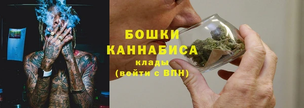 apvp Ельня