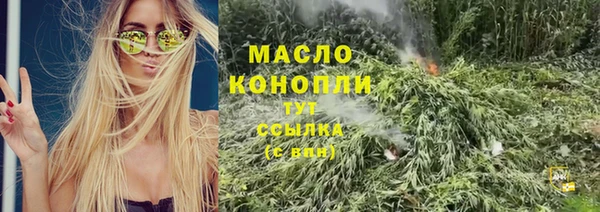 apvp Ельня