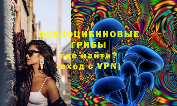 apvp Ельня