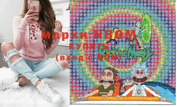 apvp Ельня
