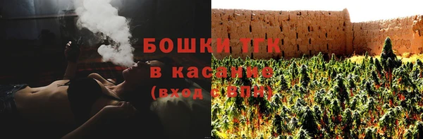 apvp Ельня