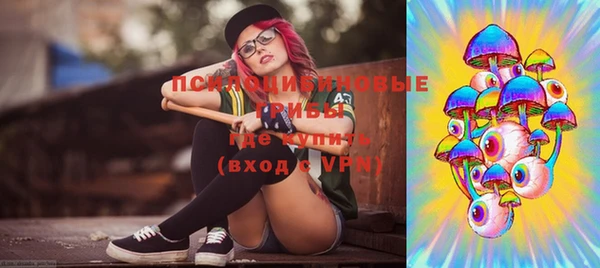 apvp Ельня