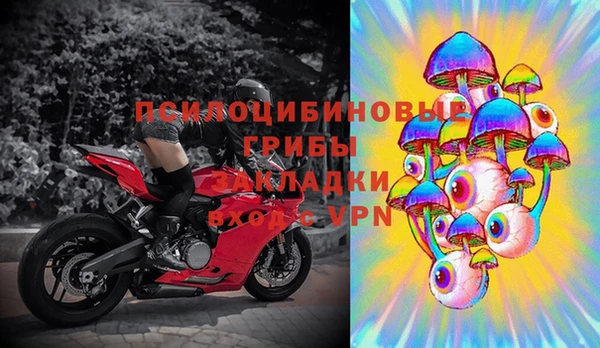 apvp Ельня